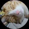 nathalymay278